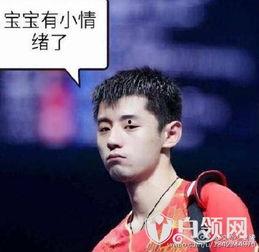 爆料张继科汇总视频最新,揭秘赛场内外不为人知的故事